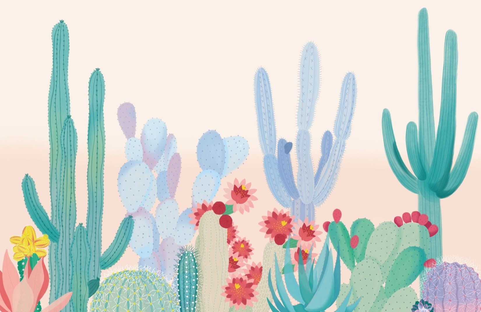 1650x1070 Colourful Cute Cactus Wallpaper Mural, Desktop