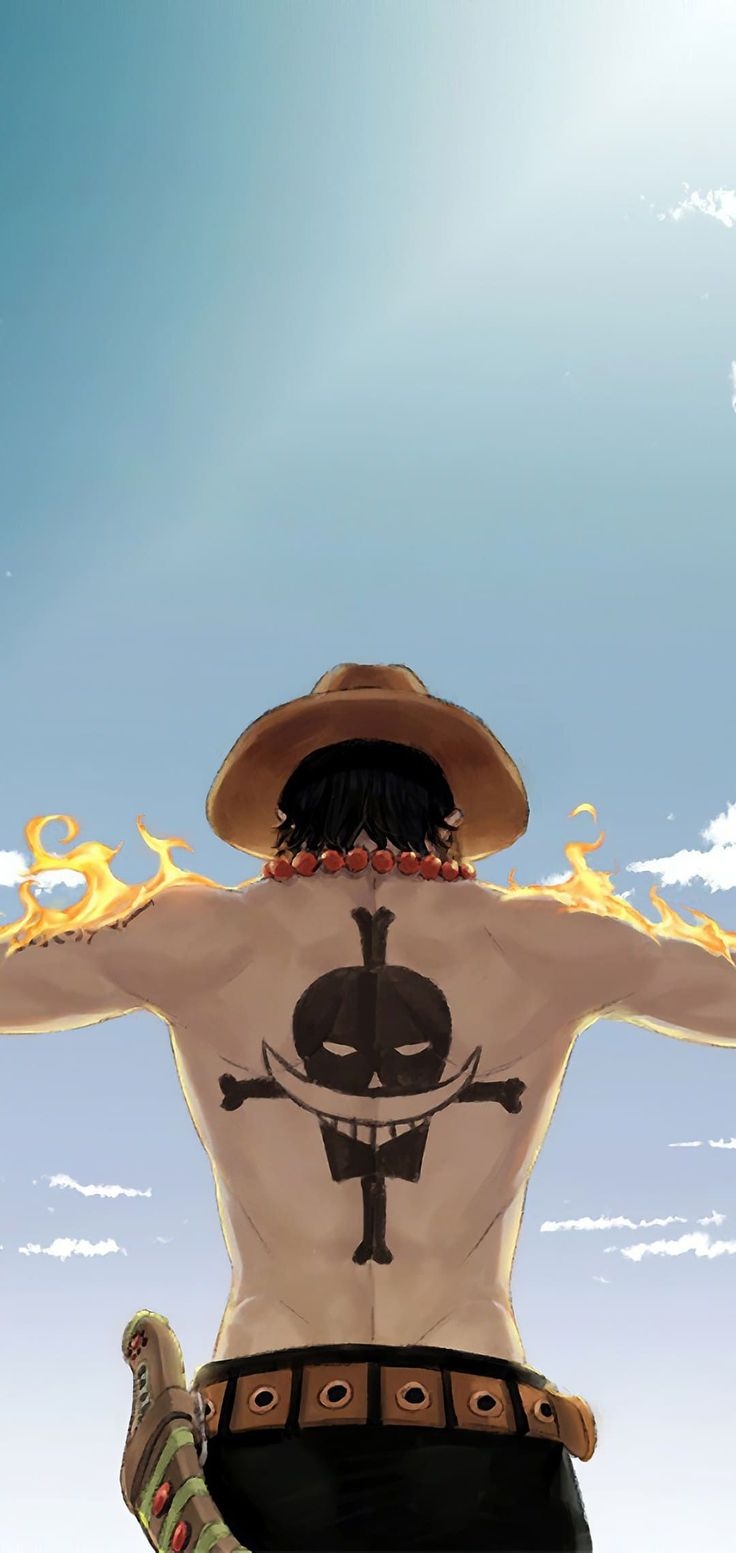 740x1560 One Piece Wallpaper, Phone