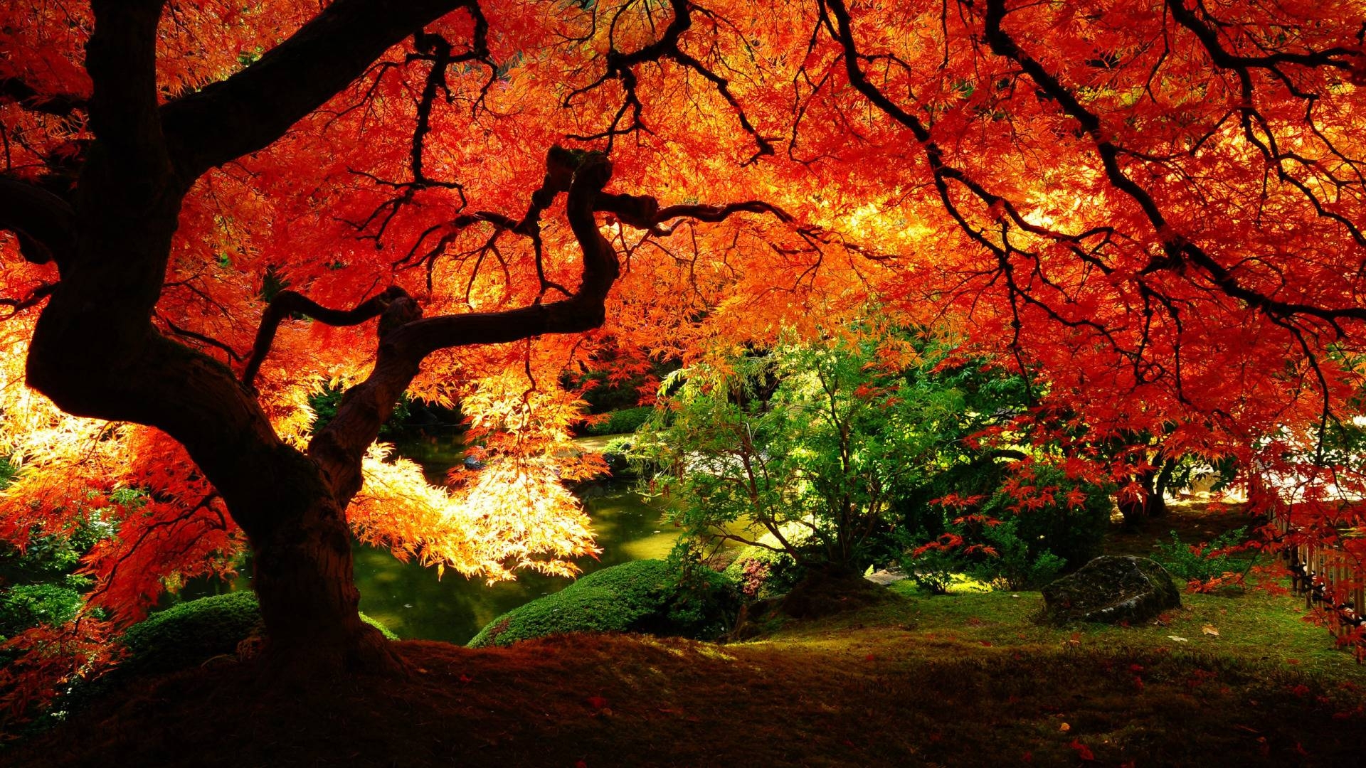 1920x1080 Wallpaper For > Fall Scenery Background, Desktop