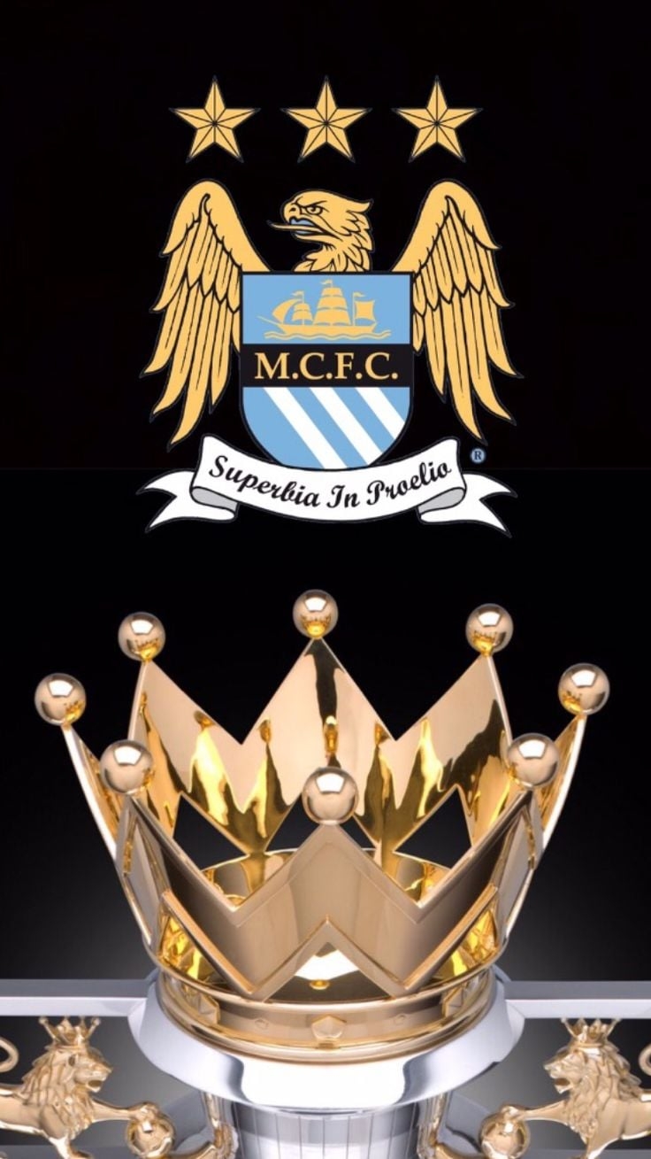 740x1310 Manchester City Logo Wallpaper For iPhone, Phone