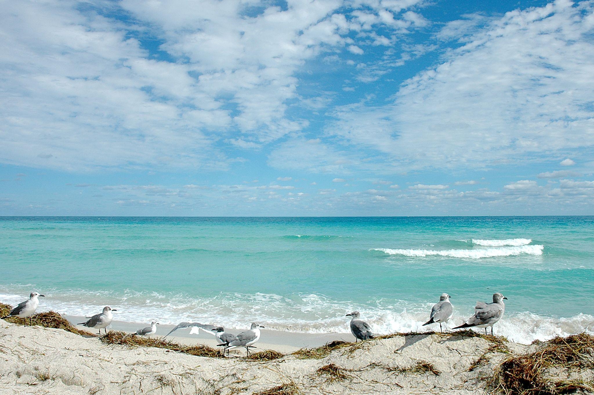 2050x1370 Florida Beaches Image, Desktop