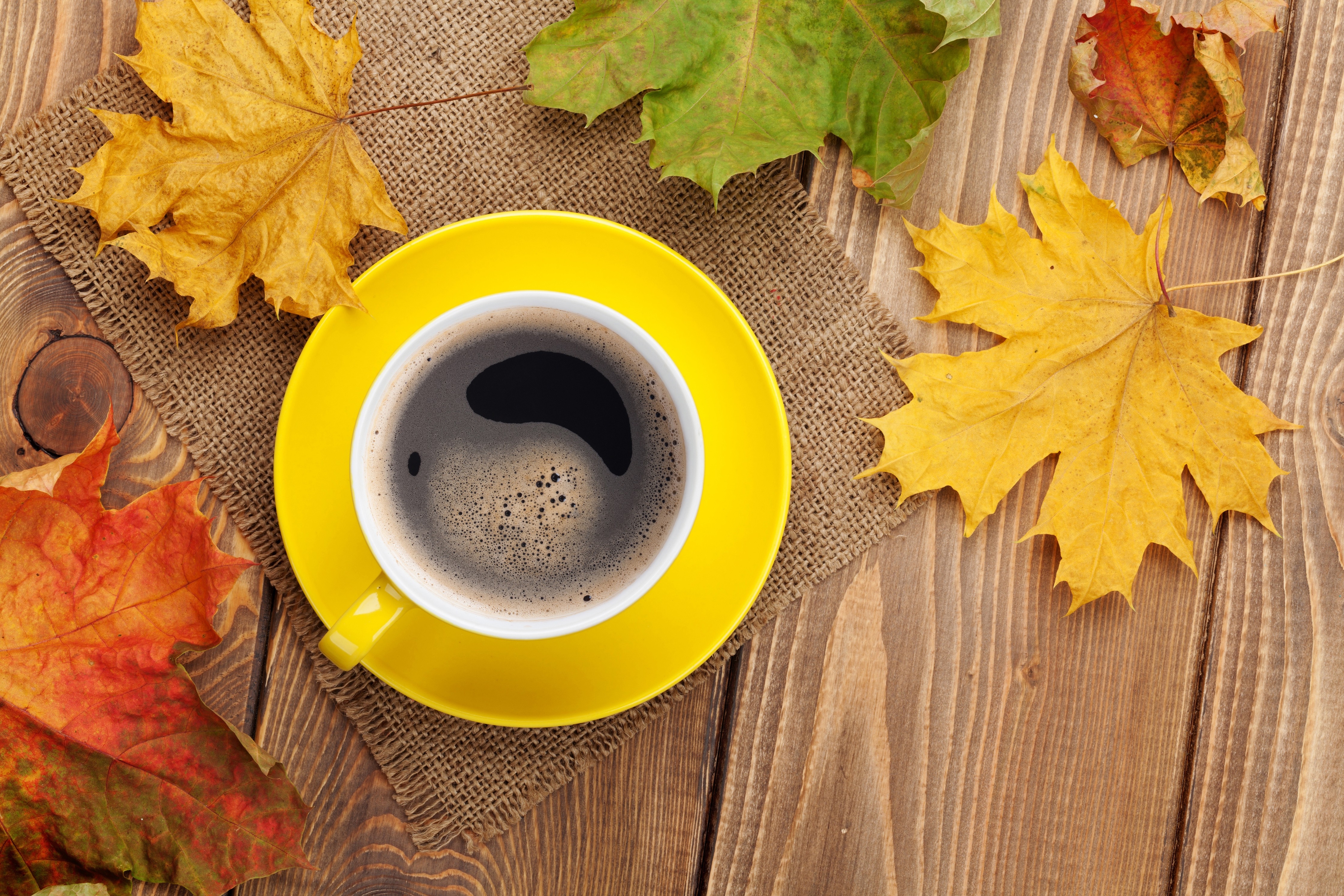 4490x2990 #table, #mugs, #maple leaves, #fall, #coffee, wallpaper. Mocah HD Wallpaper, Desktop