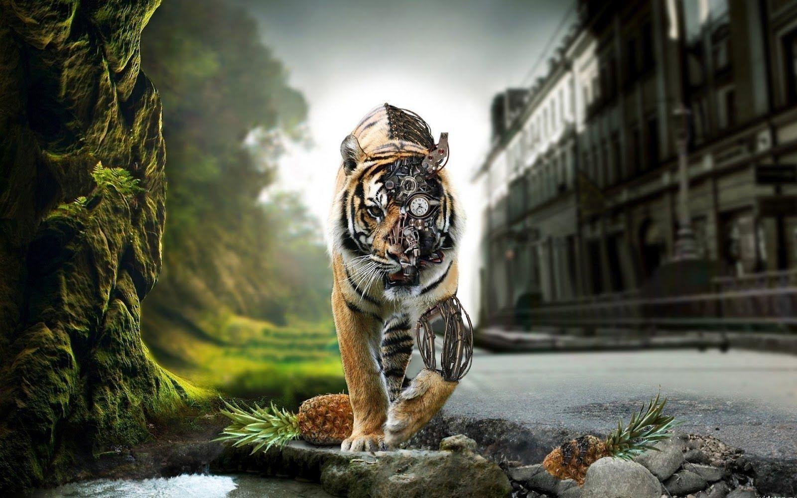 1600x1000 Tiger Wallpaper Tigers 1024×768 Definition Wallpaper, Desktop