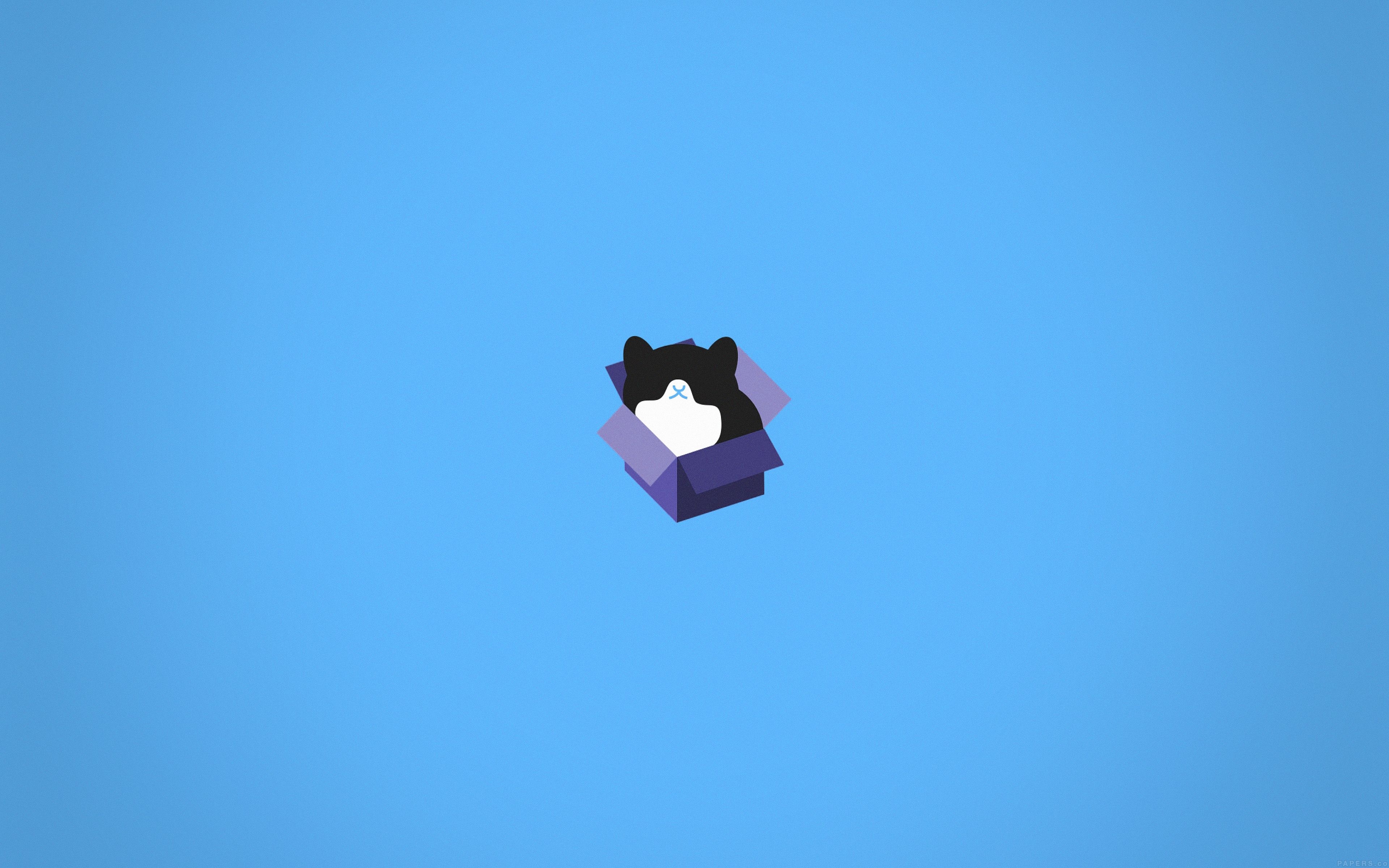 3840x2400 Cat Box Blue Illust Animal Art Minimal, Desktop