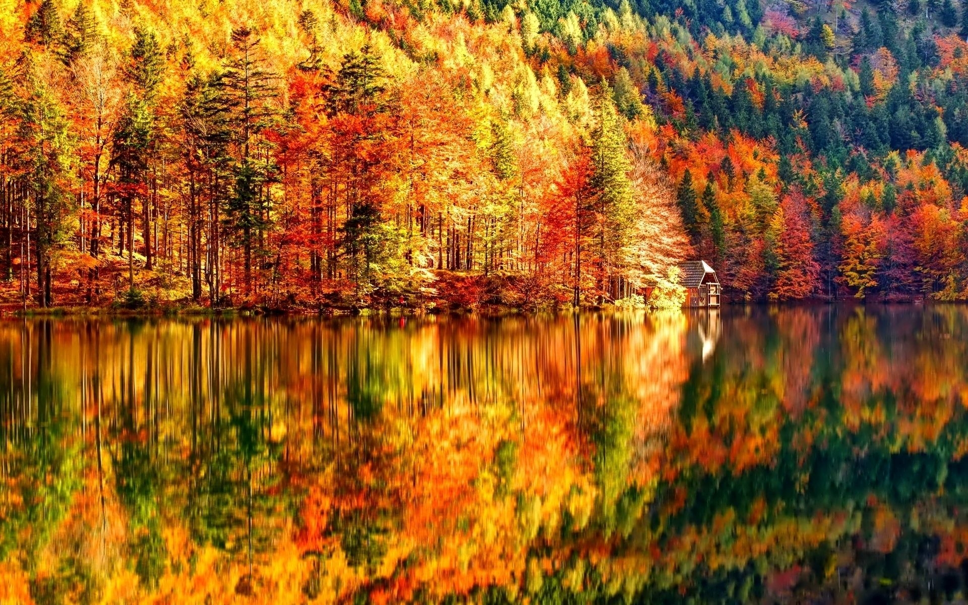 1920x1200 Autumn Wallpaper. Autumn Wallpaper, Best Autumn Wallpaper and Lonely Autumn HD Wallpaper, Desktop