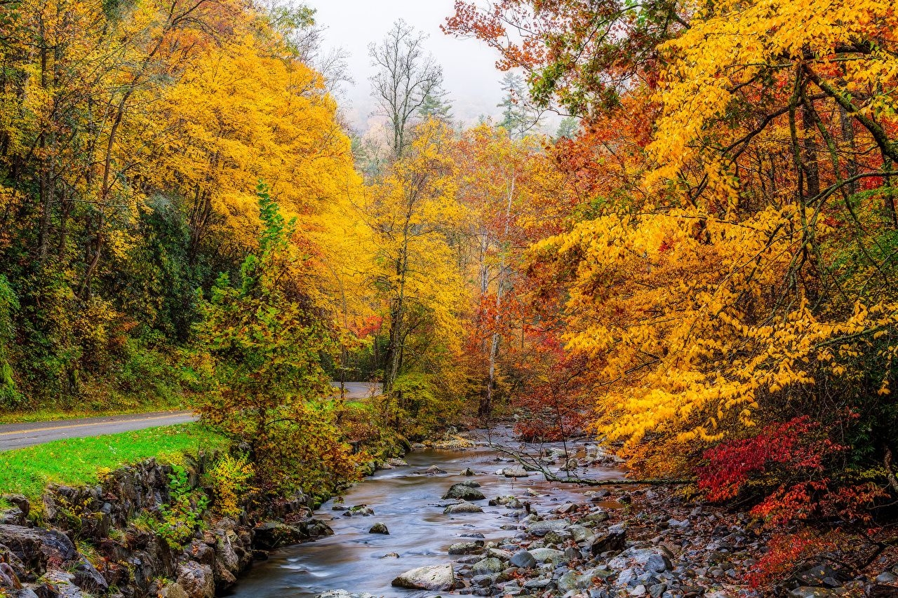 1280x860 Photos USA Great Smoky Mountains Nature Creeks Autumn park forest, Desktop