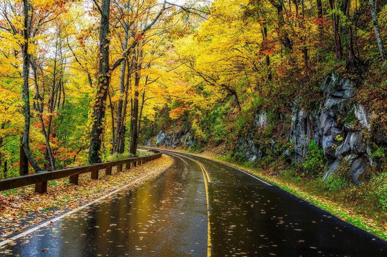 1280x860 Desktop Wallpaper USA Great Smoky Mountains Nature Autumn Parks, Desktop