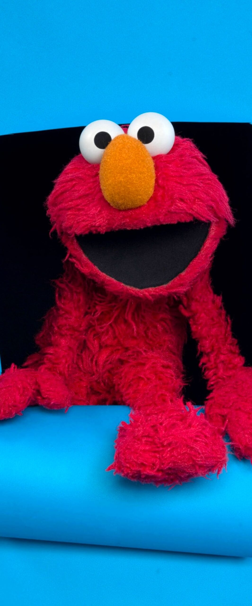 1070x2560 Best Elmo iPhone Wallpaper 4k, Phone