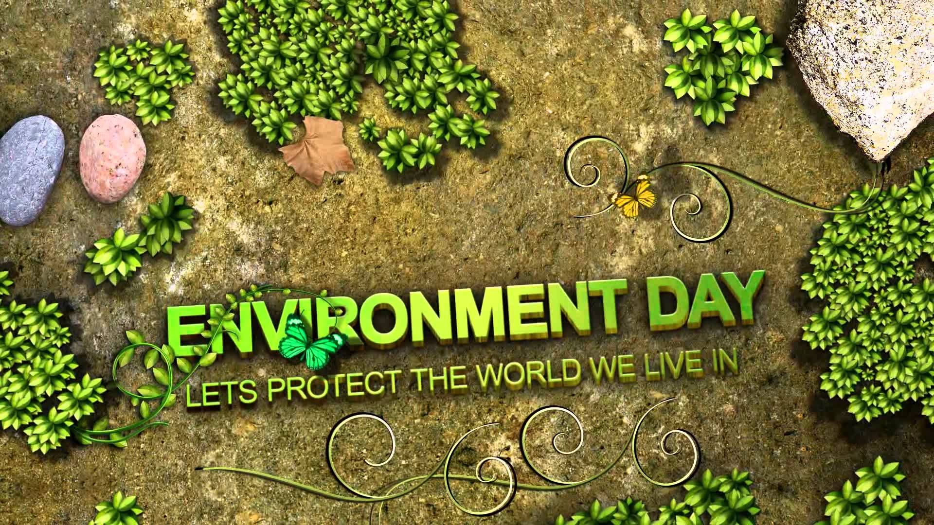 1920x1080 Environment Day, Desktop