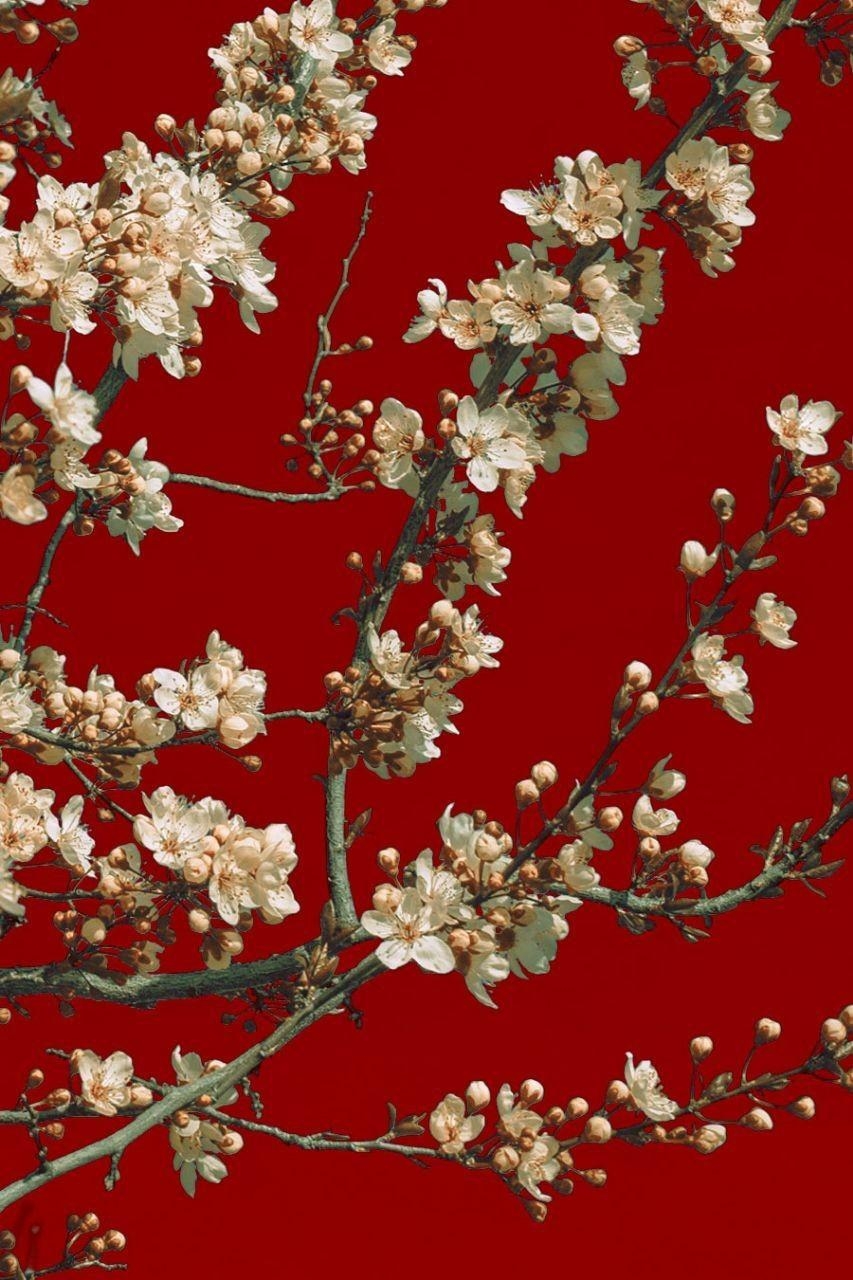 860x1280 japanese aesthetic, wallpaper, red and white flowers, Phone