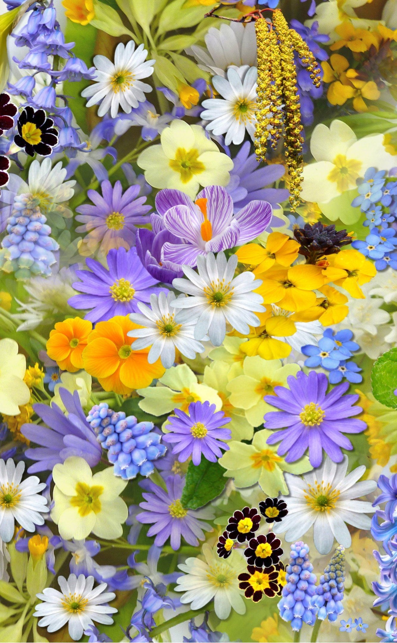 1340x2160 Spring Flowers Collage. Nature iphone wallpaper, Flower collage, Spring flowers, Phone