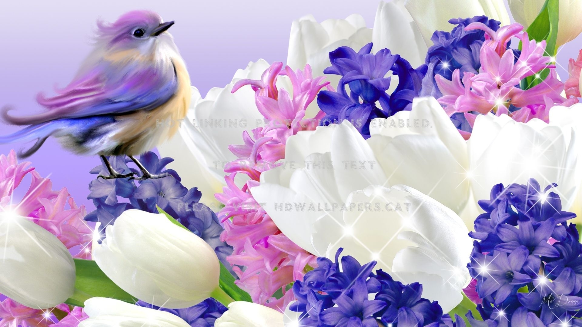 1920x1080 spring flowers and bird purple tulips, Desktop