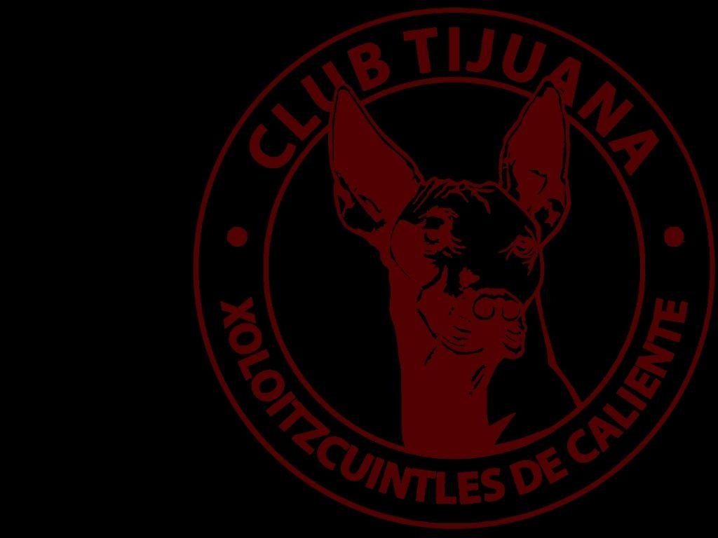 1030x770 Wallpaper Xolos De Tijuana, Desktop