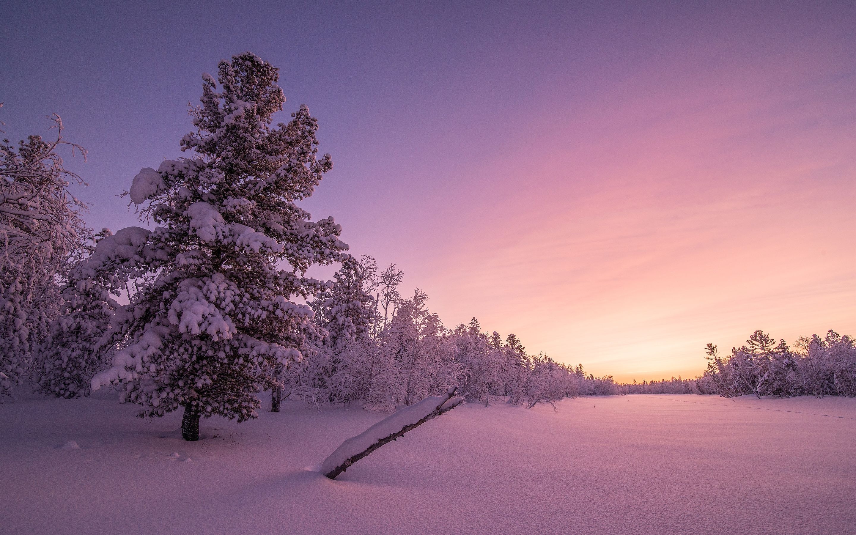 2880x1800 Winter Wallpaper, Desktop