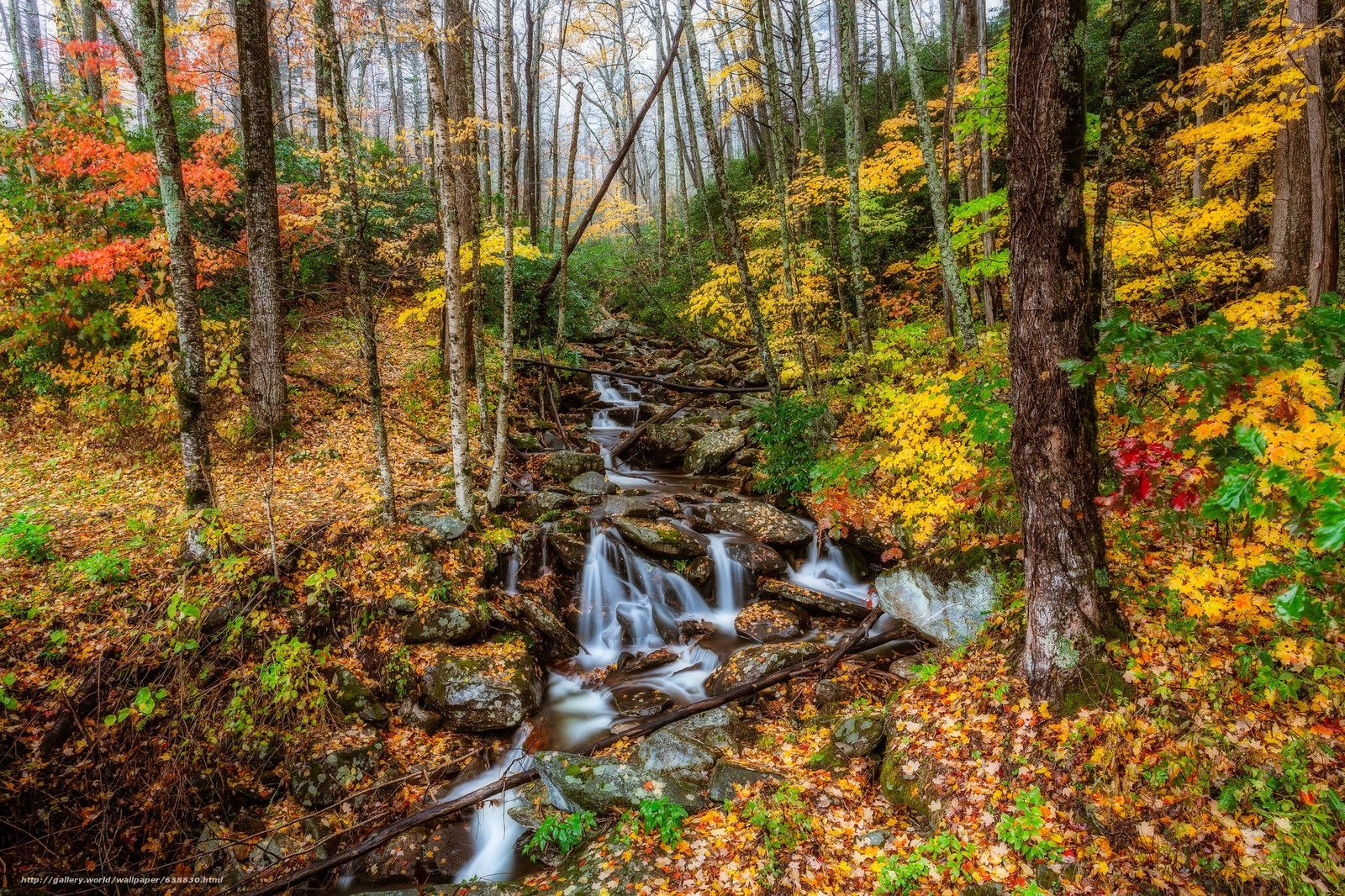 1600x1070 Download wallpaper Great Smoky Mountains National Park, Tennessee, Desktop