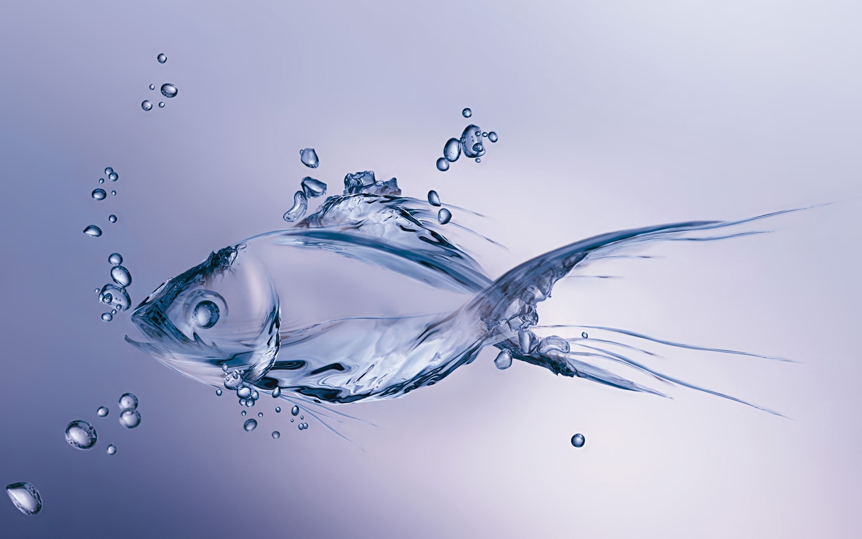 2880x1800 Water fish. Fish wallpaper, Water art, Fish background, Desktop