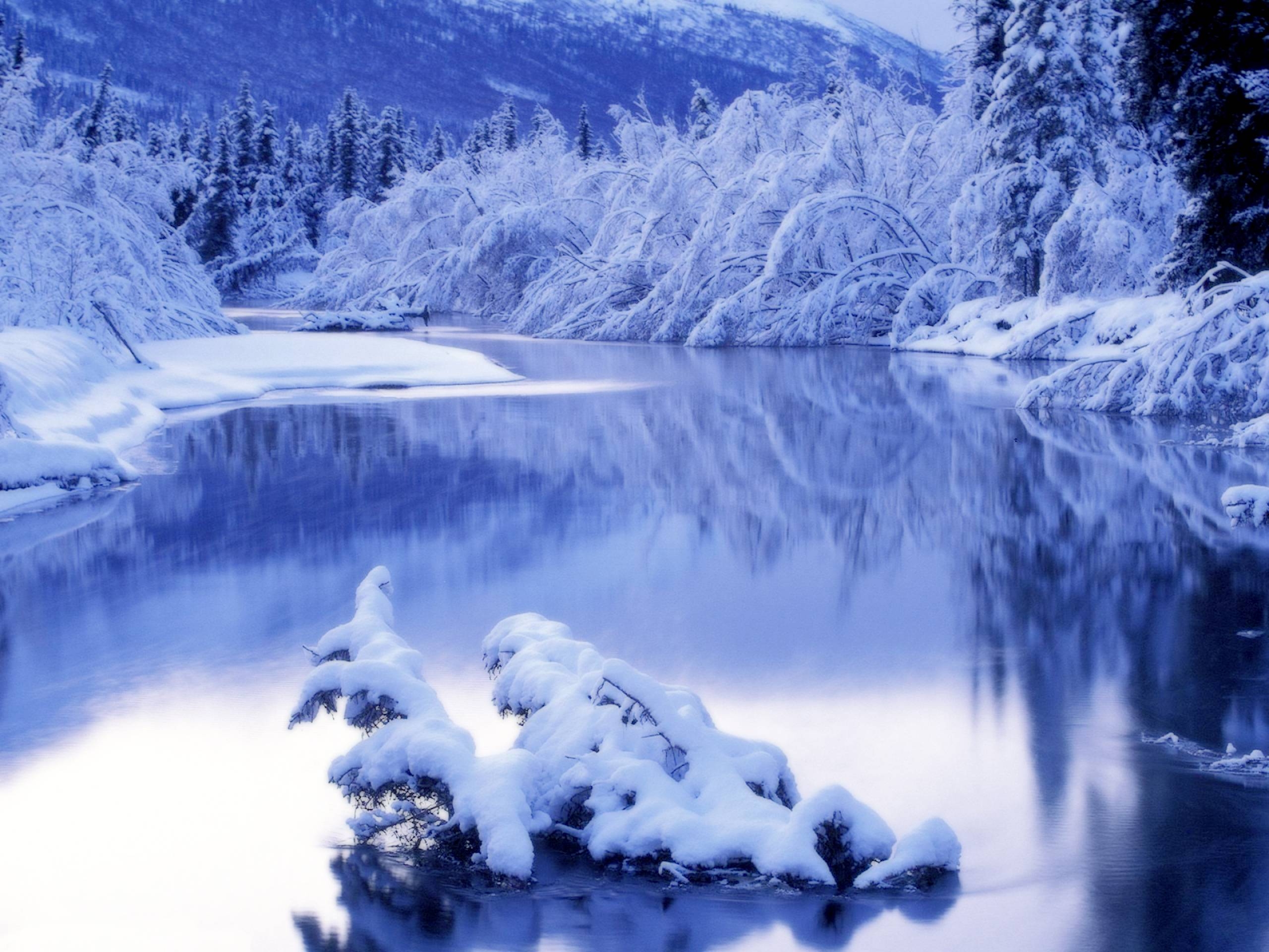 2560x1920 Winter Nature Wallpaper Desktop, Desktop