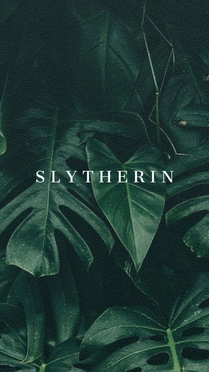 720x1280 Slytherin lockscreen. Slytherin aesthetic, Hogwarts aesthetic, Slytherin, Phone