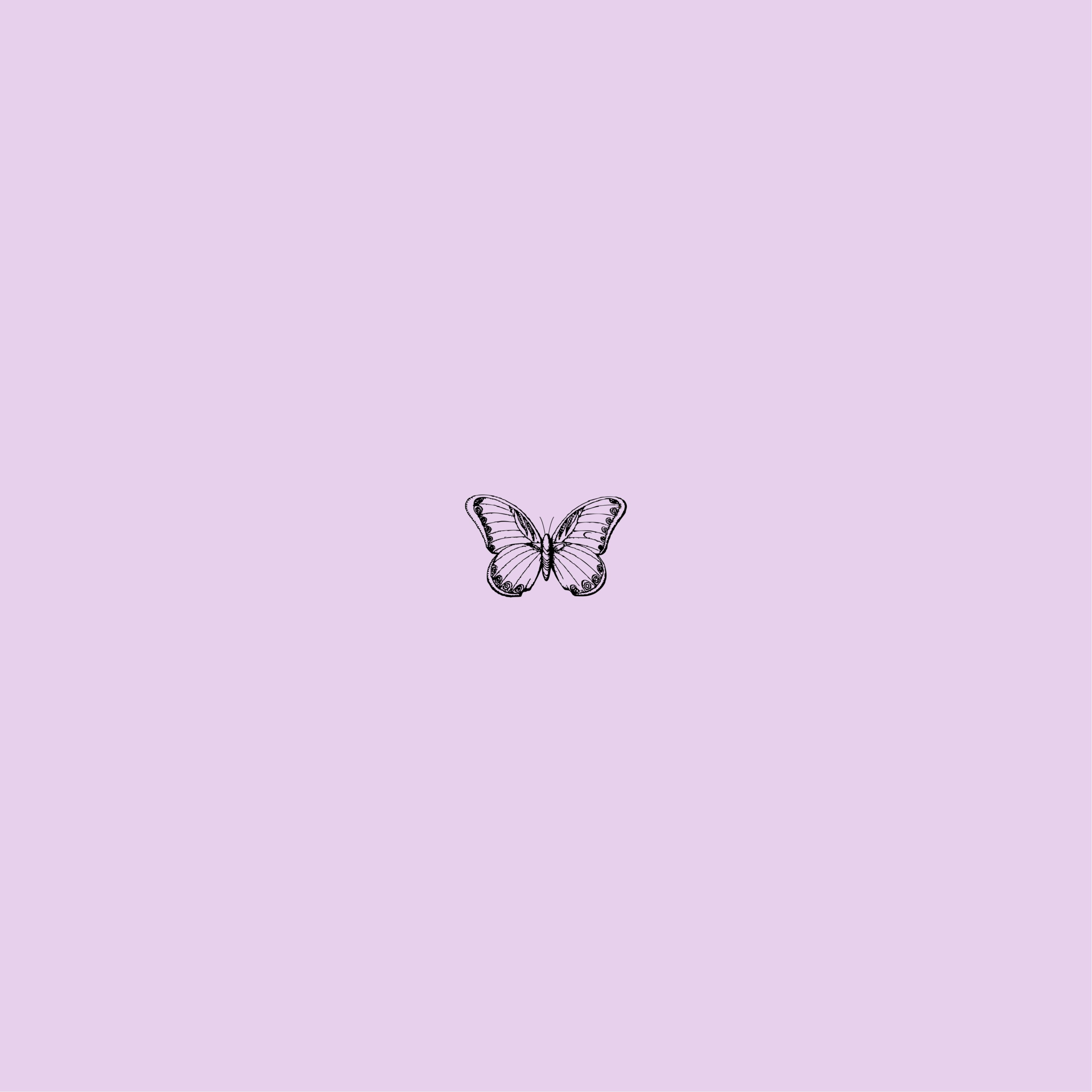 3470x3470 freetoedit purple lilac butterfly Image, Phone