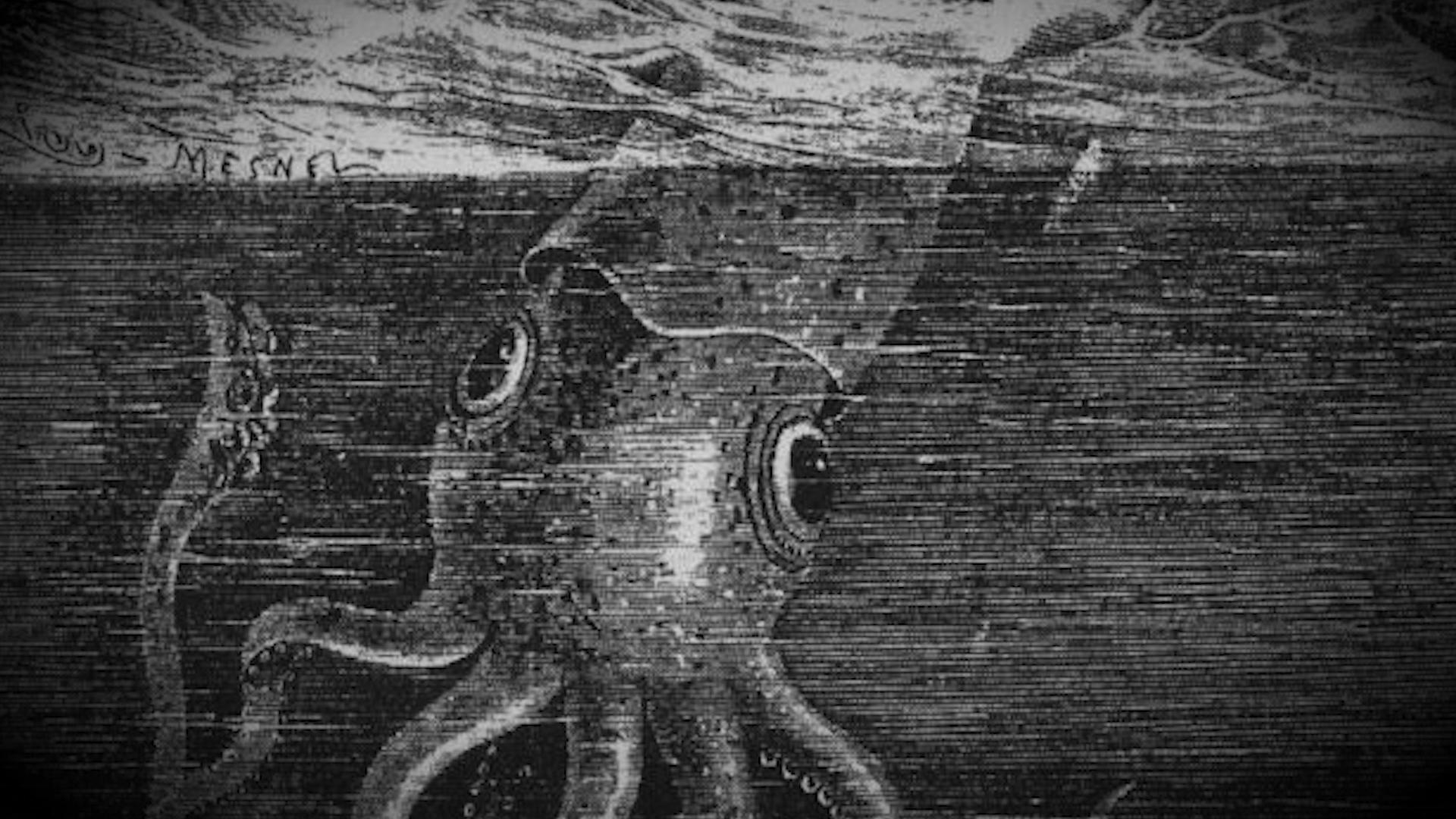 1920x1080 The Giant Squid's Biggest Mystery, Desktop