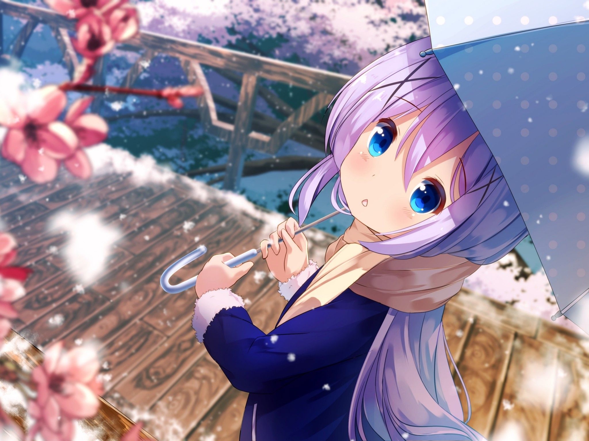 2050x1540 Chino Kafuu 4K Wallpaper, Anime girl, Cute, Spring, Girly, Anime, Desktop