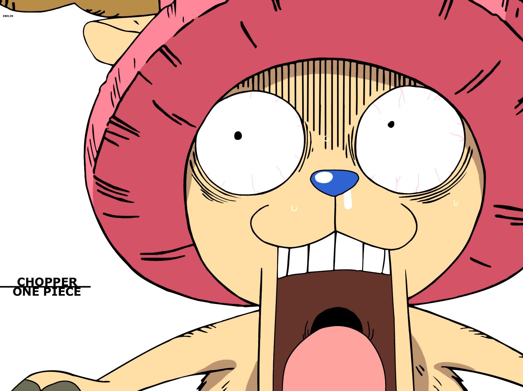 1670x1250 Tony Tony Chopper, Wallpaper. Anime Image Board, Desktop