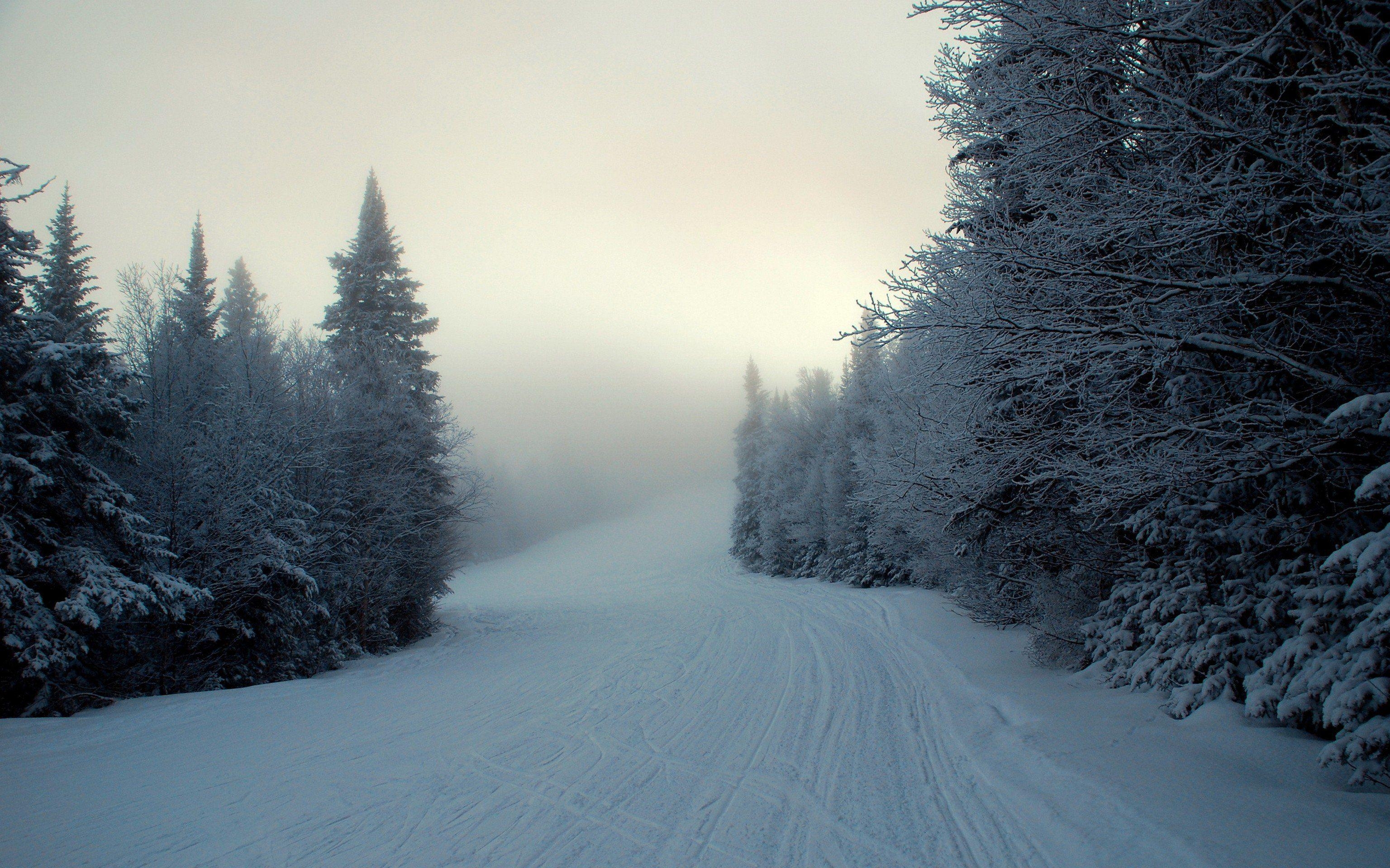 3080x1920 Winter Woods Wallpaper Free Winter Woods Background, Desktop