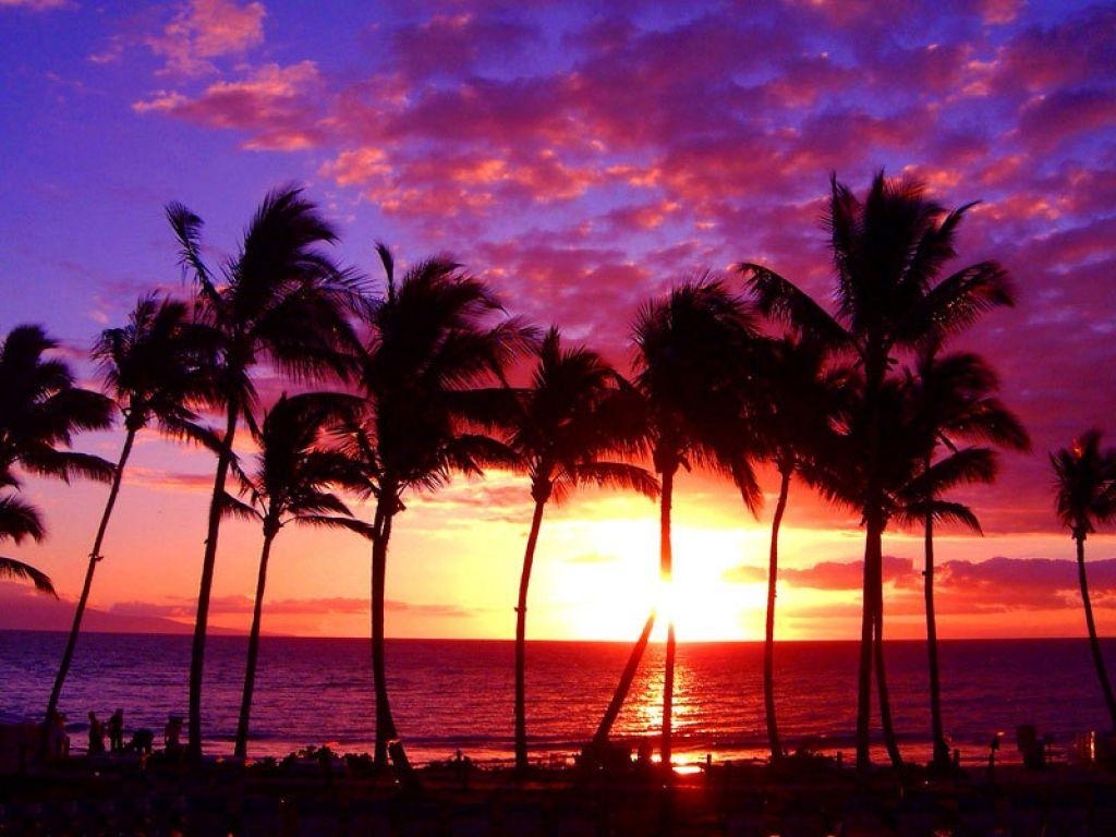 1030x770 Honolulu Wallpaper Free in Awesome Free, Desktop