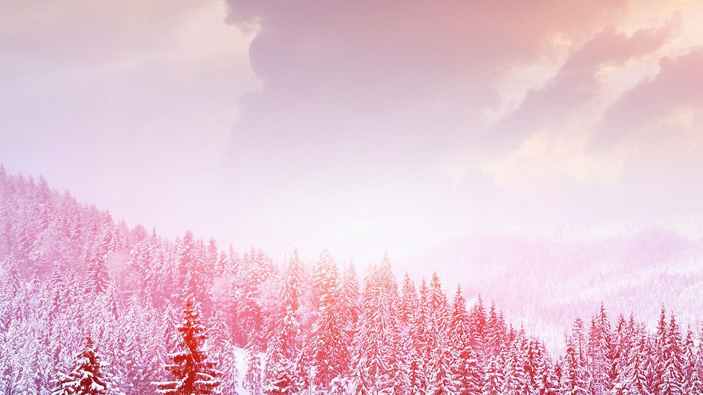 1370x770 Pink Winter Wallpaper Laptop, Desktop