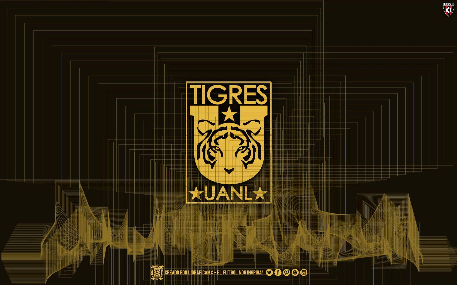 1920x1200 Tigres U A N L Wallpaper, Desktop