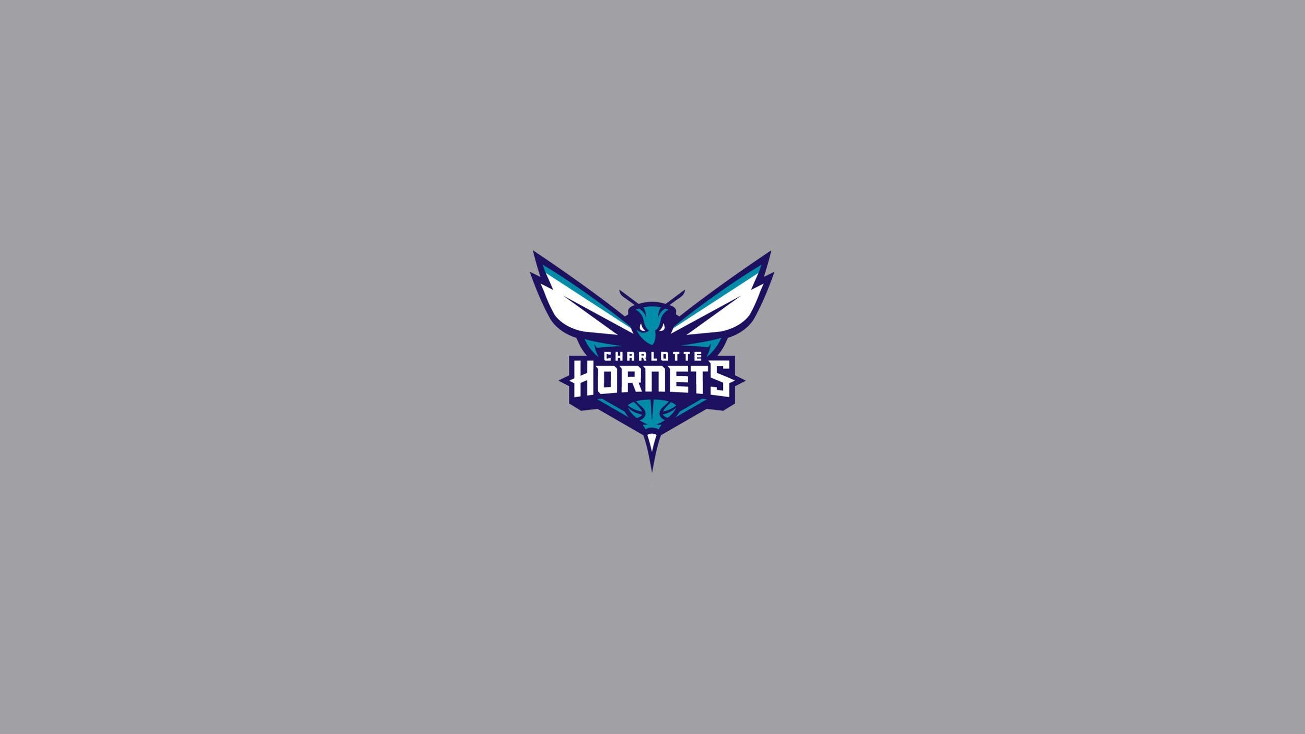 2560x1440 Charlotte Hornets Wallpaper, Desktop