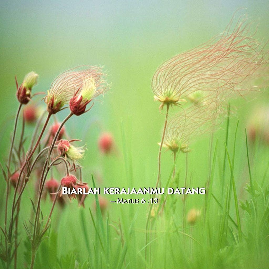 1030x1030 grassflowers, 2014 jehovah's witnesses yeartext for ipad, Phone