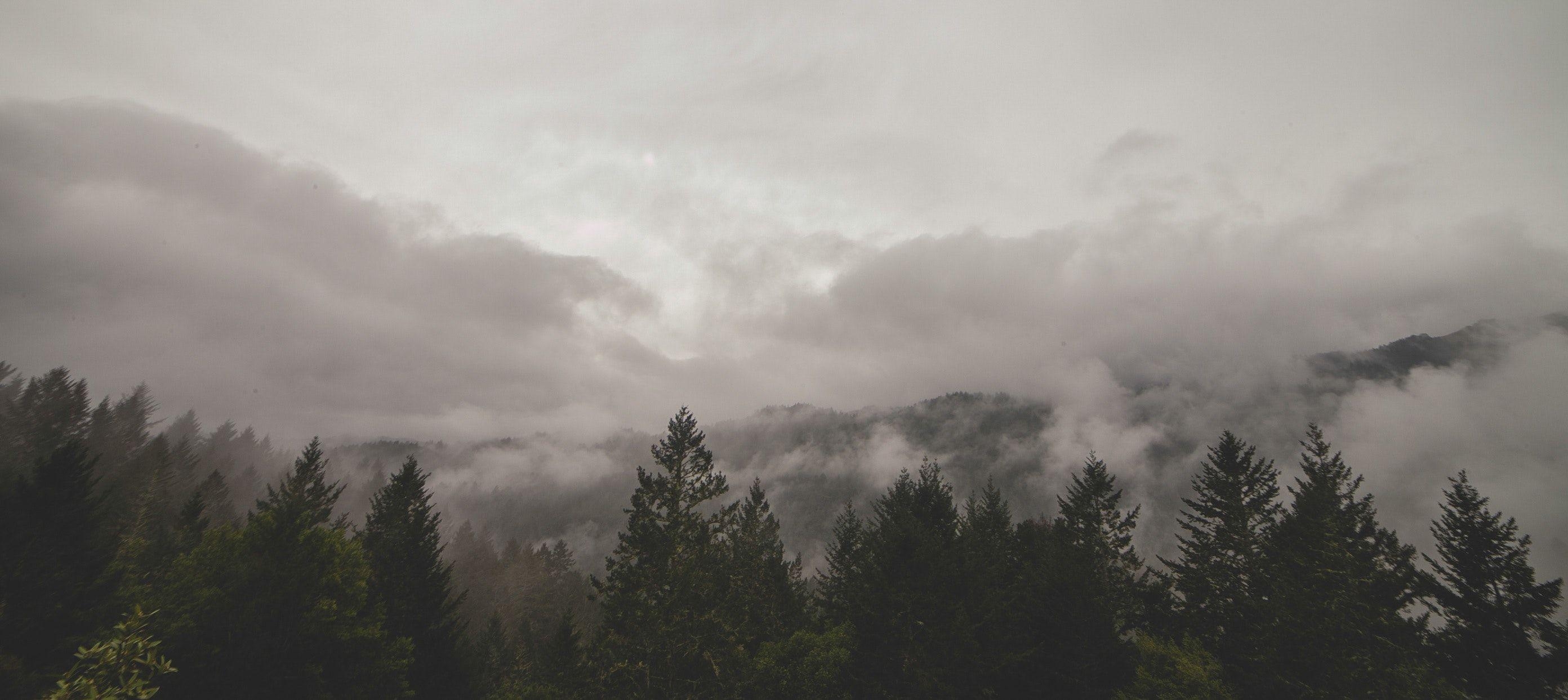 2790x1250 Beautiful Fog Photo, Dual Screen