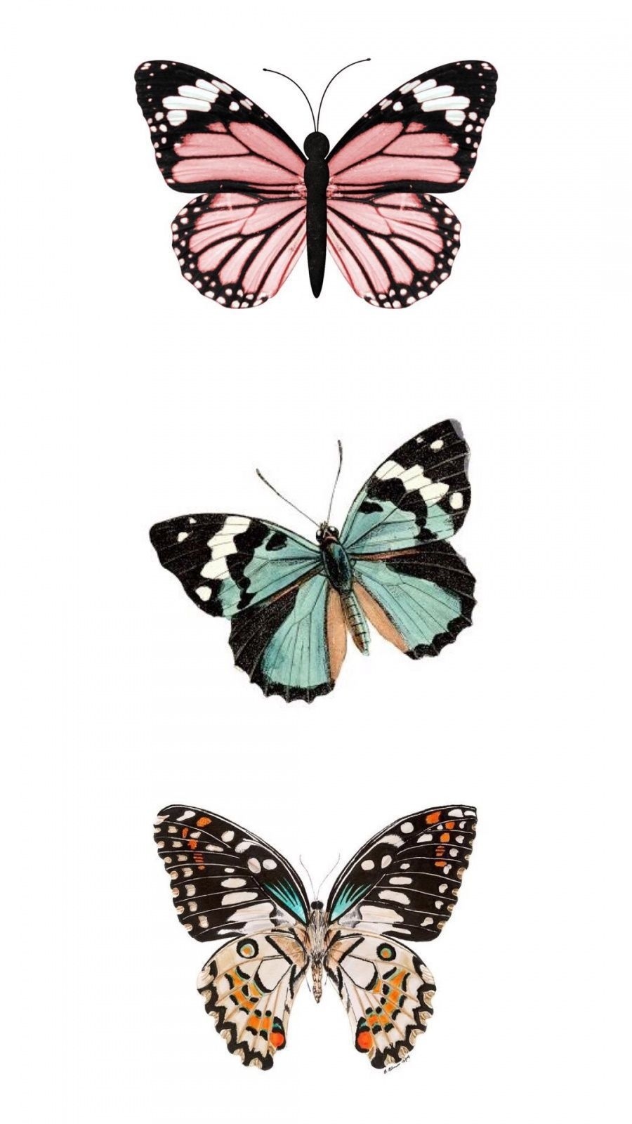 900x1600 Aesthetic Butterfly Wallpaper Free Aesthetic Butterfly, Phone