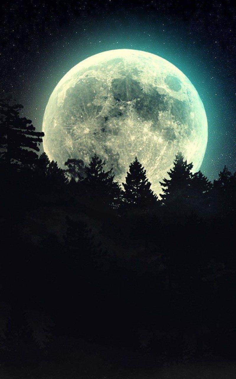 800x1280 Free App][Moonlight Live Wallpaper], Shower your screen, Phone