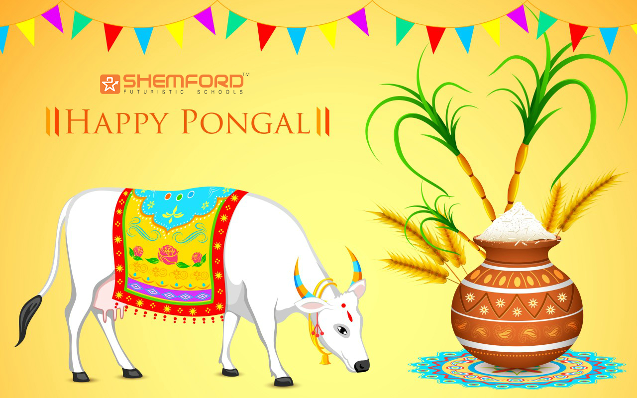 1280x800 Pongal Festival is most important festival for Tamil people. Pongal is a four days festival celebrated in Tamil Na. Happy pongal, Pongal image, Sankranthi wishes, Desktop