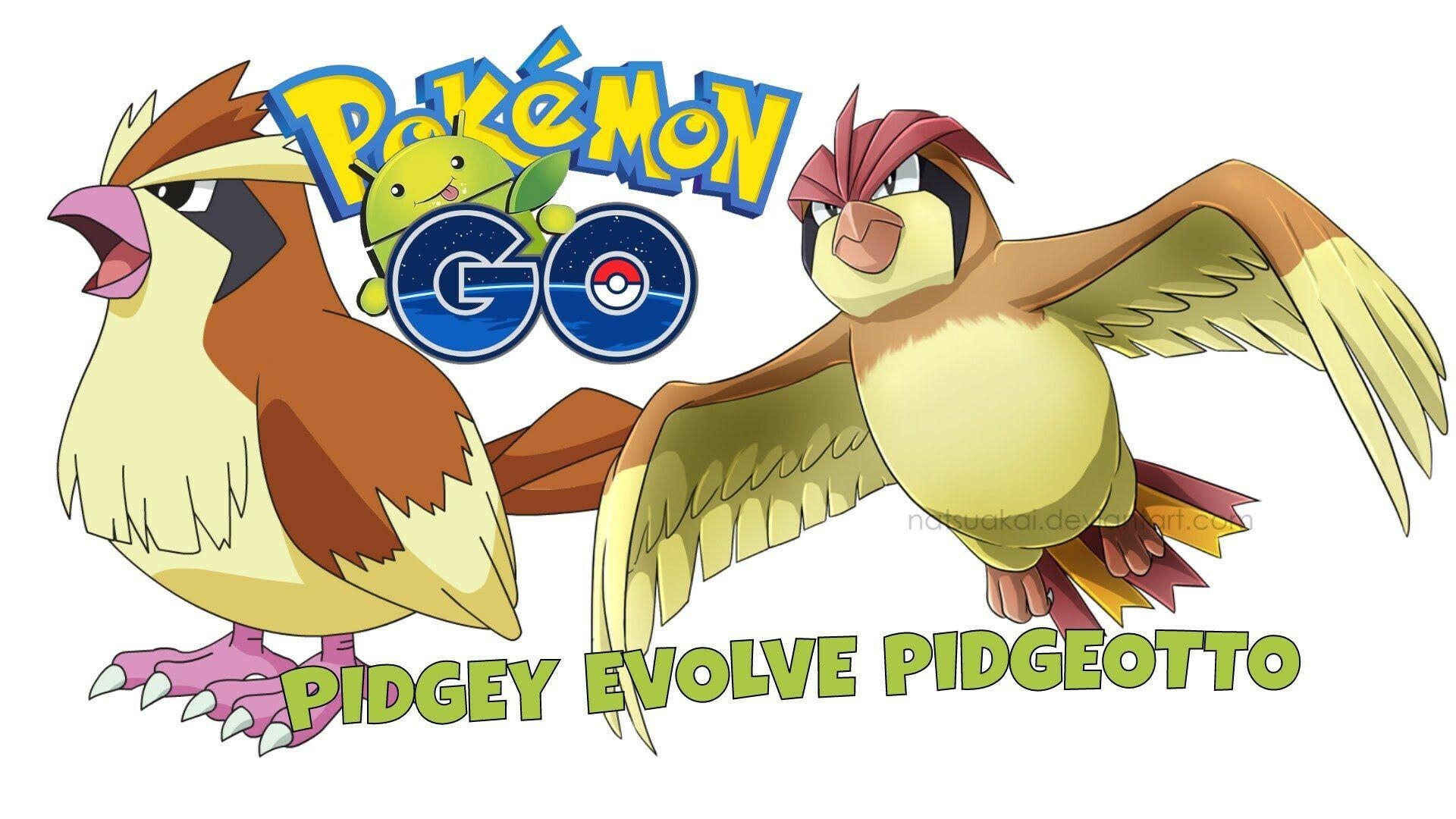 1920x1080 Pokemon GO evolve PIDGEOTTO, Desktop