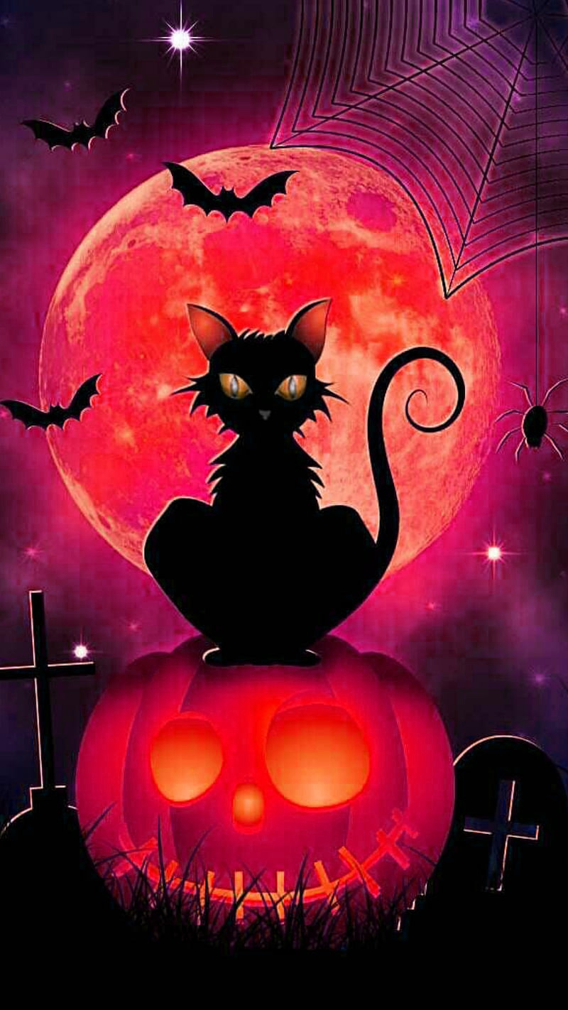 800x1430 Halloween Cat Wallpaper, Phone