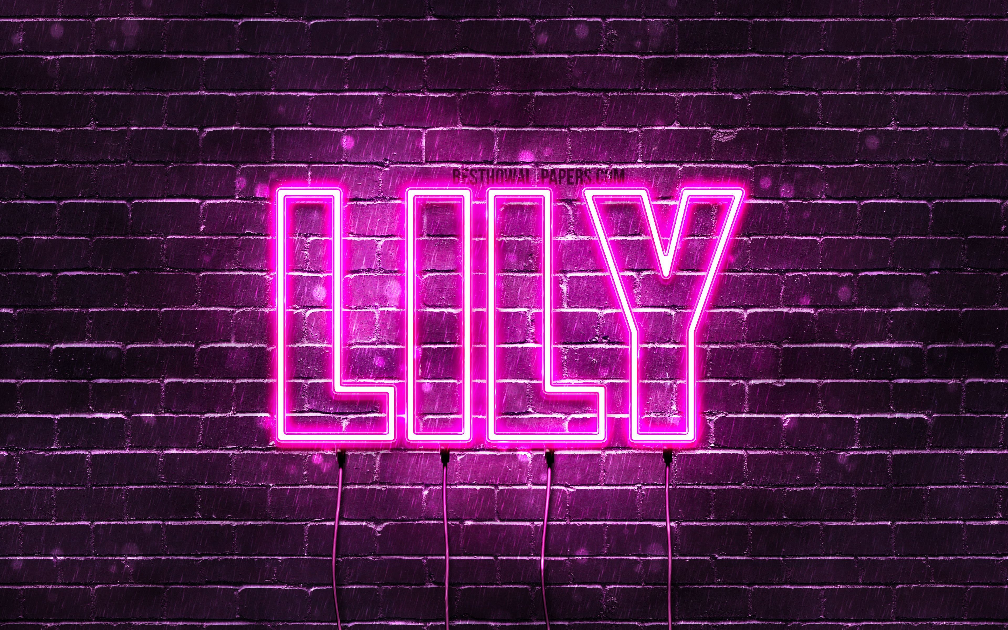 3840x2400 Lily, 4k, wallpaper with names, female names, Lily name, purple neon lights, horizontal text, picture with Lily name. Neon, Neon signs, Wallpaper, Desktop