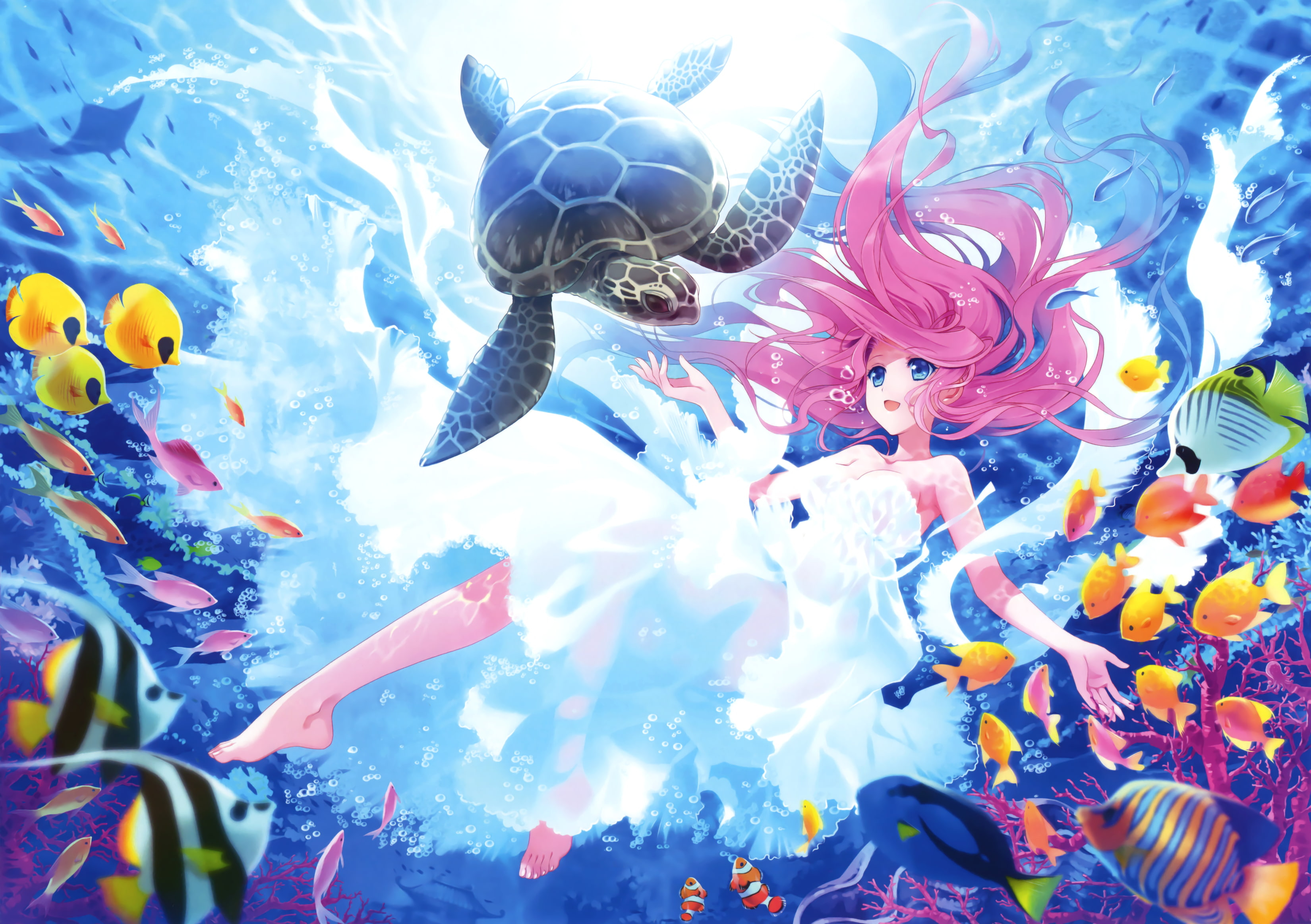 3300x2330 Fishes, Underwater, Turtle, Kawaii, Mermaid Wallpaper, Desktop