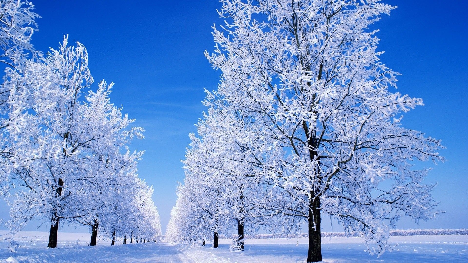 1920x1080 Christmas Snow Wallpaper Scenes, Desktop