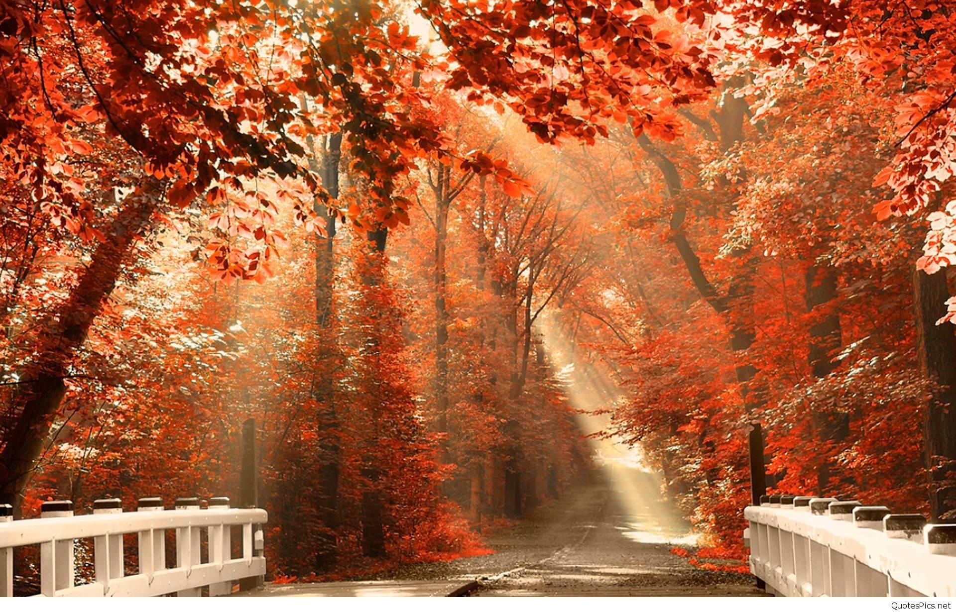 1920x1230 Hello Autumn Season Nature Wallpaper Background, Desktop