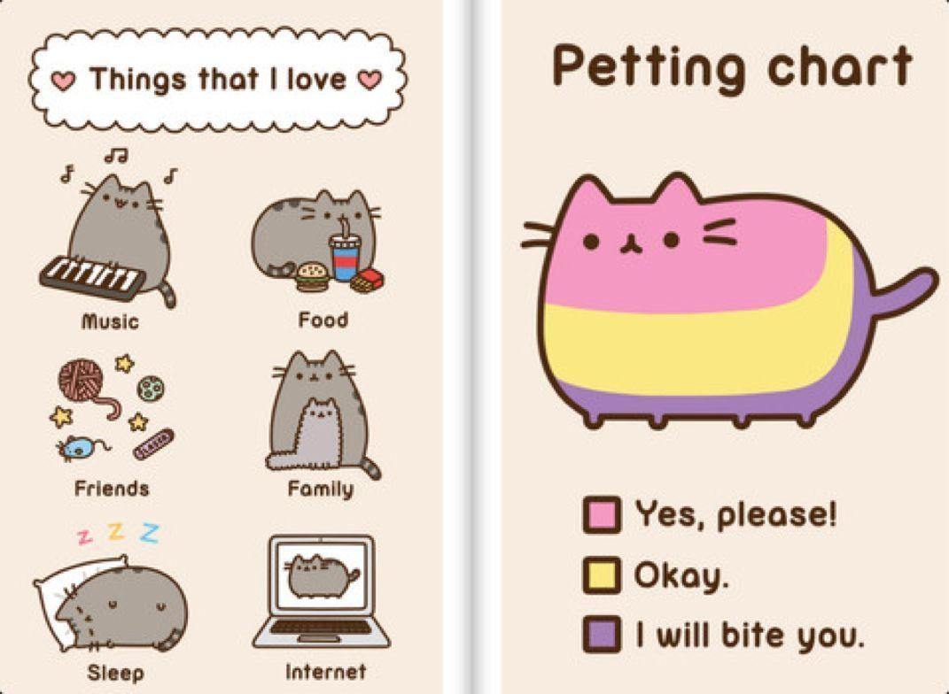 1080x790 tumblr donut pusheen, Desktop