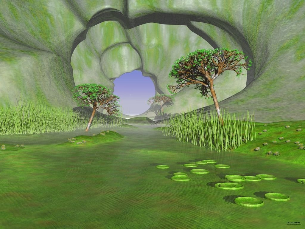 1030x770 Meditative cave with trees and reed. Weird dreams, Photo, Weird, Desktop