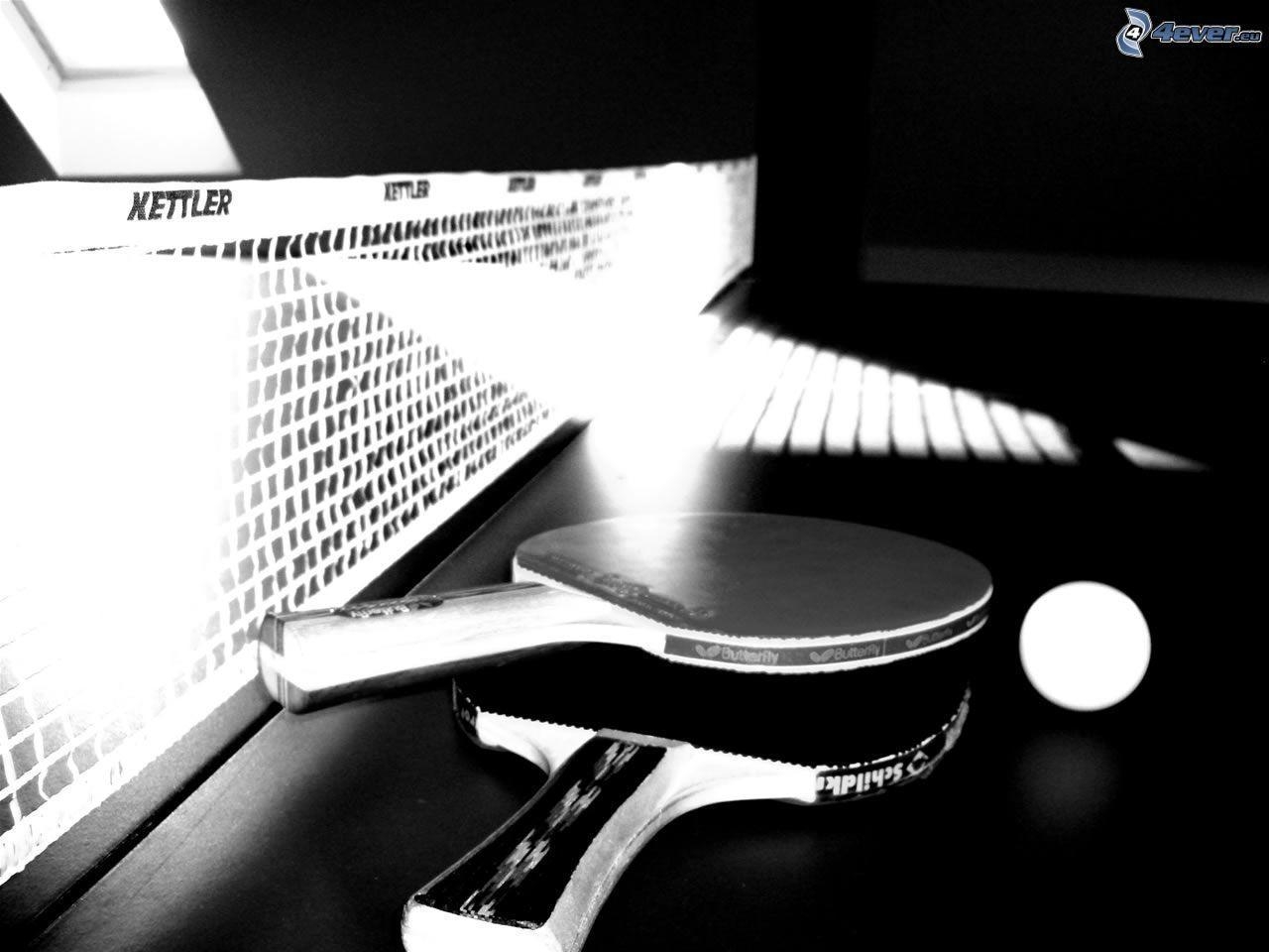 1280x960 Table Tennis HD Wallpaper for DeskK 3D Background Table, Desktop