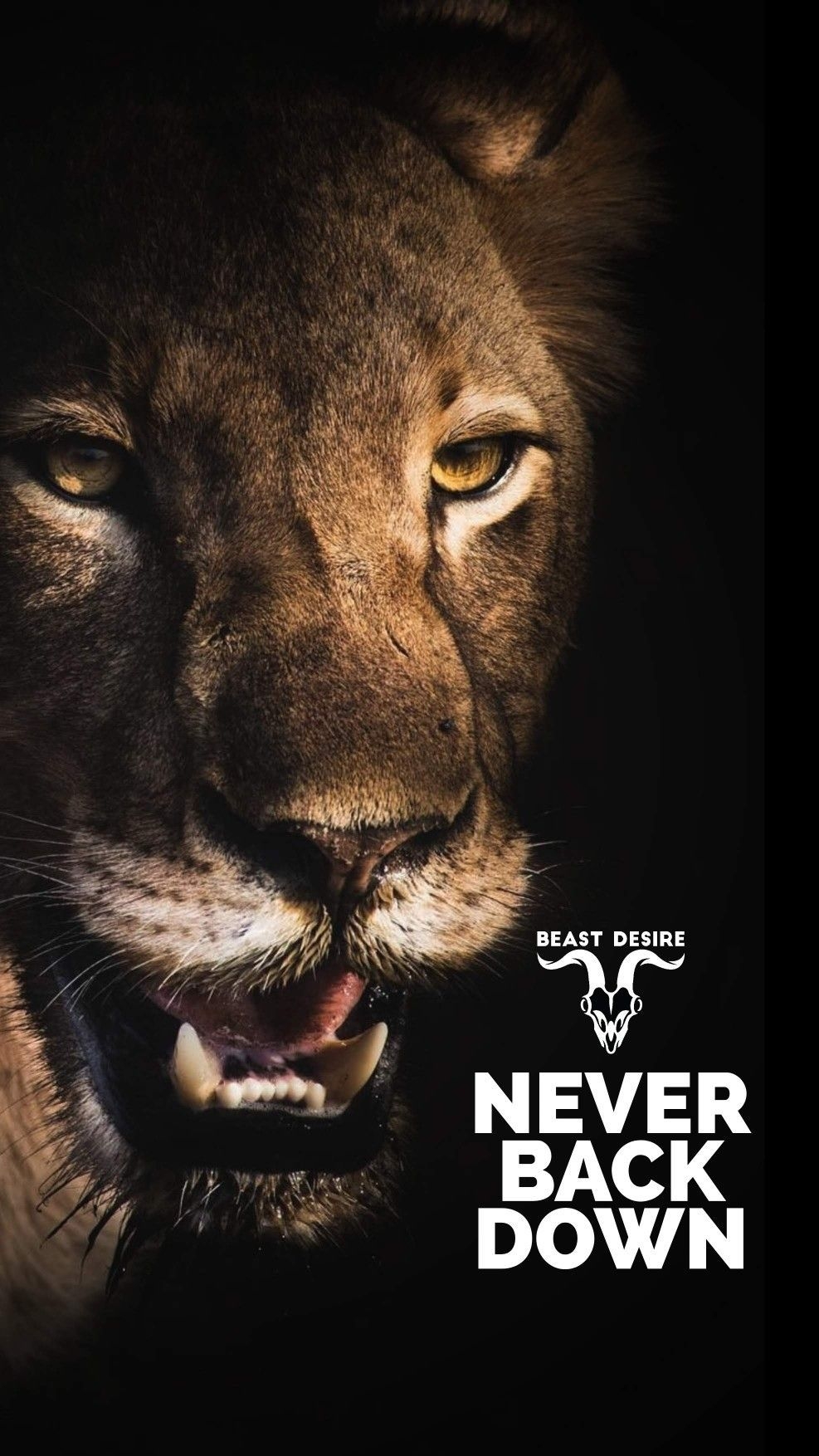 990x1760 Beast Desire Wallpaper. Desire quotes, Motivational quotes wallpaper, Lion quotes, Phone