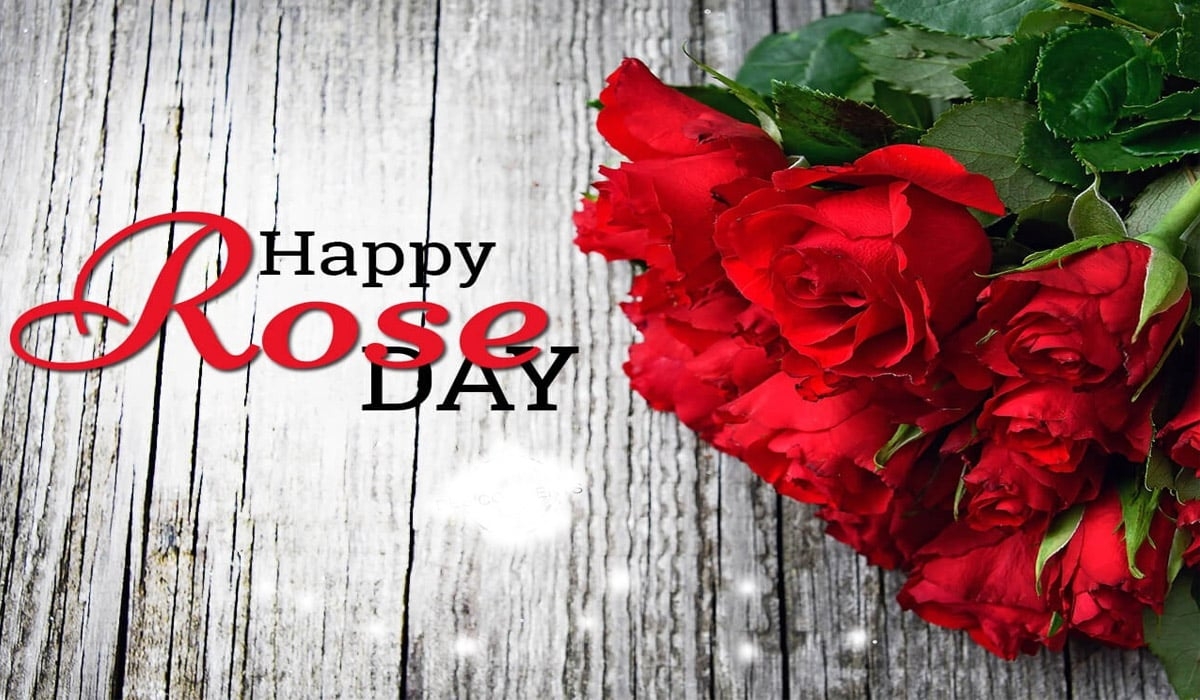 1200x700 Happy Rose Day, Desktop