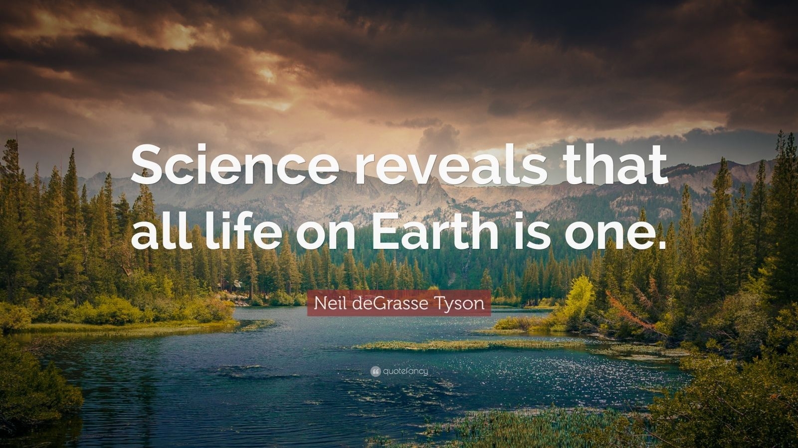 1600x900 Neil deGrasse Tyson Quote: “Science reveals that all life on Earth is one.” (12 wallpaper), Desktop