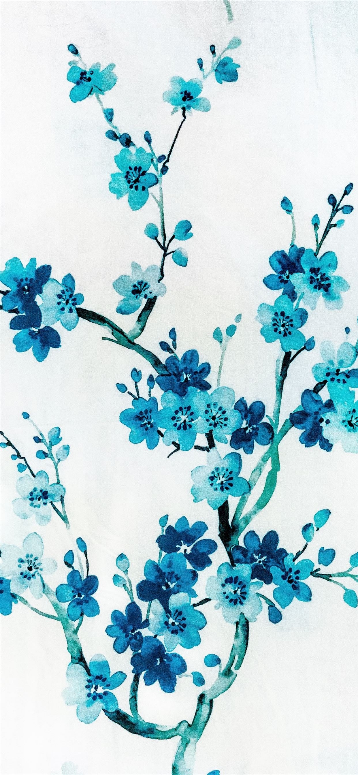 1250x2690 Blue flowers with white background iPhone 11 Wallpaper Free Download, Phone