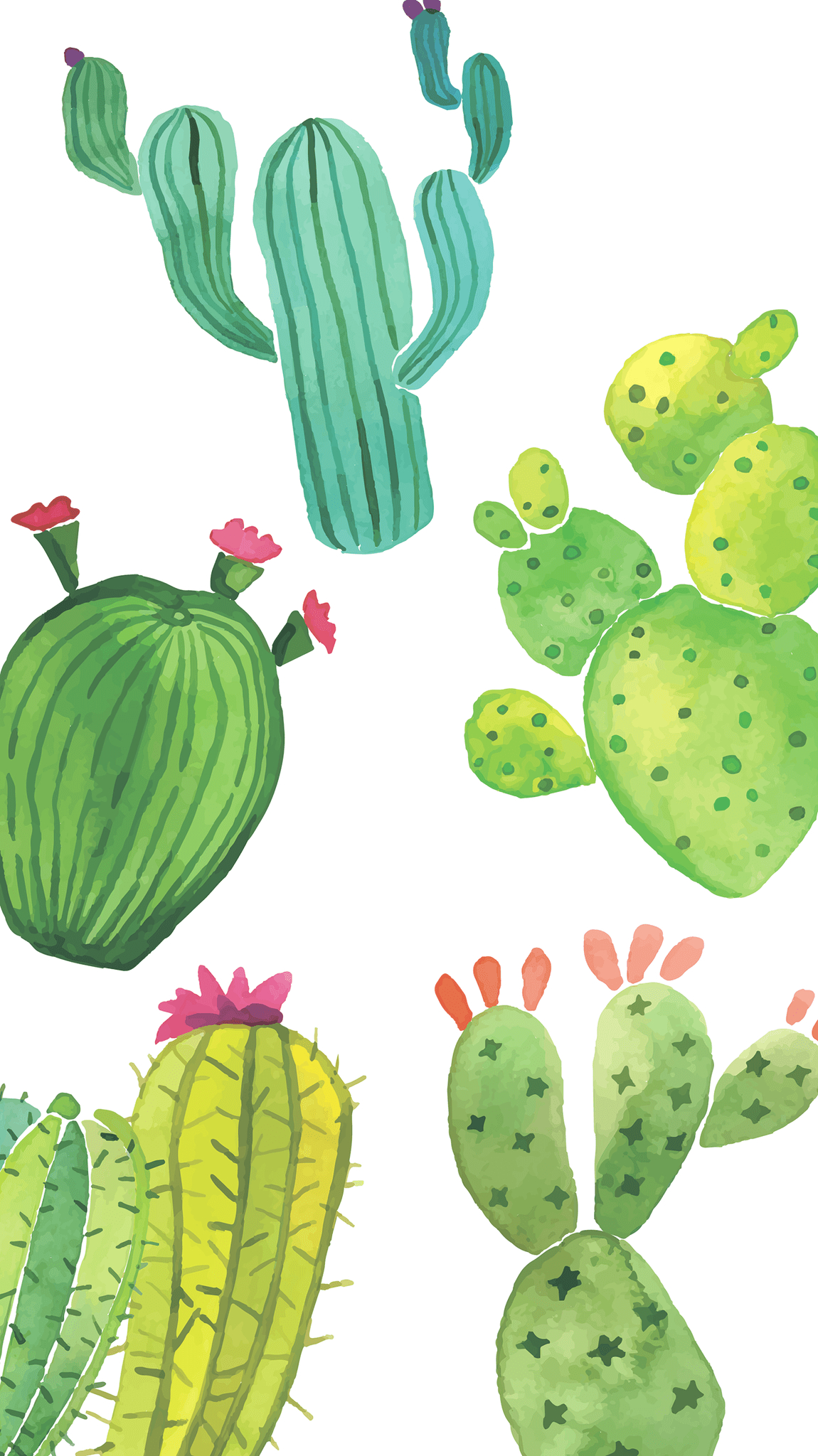 1150x2050 cute cactus wallpaper. wallpaper. iPhone, Phone